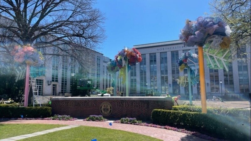 Op-ed: An Ardent Defense of the Krentzman Quad Loofahs