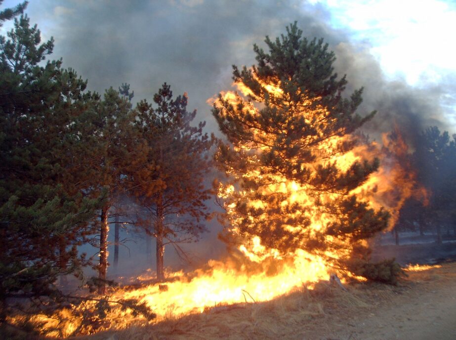 Santa’s Sleigh Shot Down Over Venezuelan Airspace