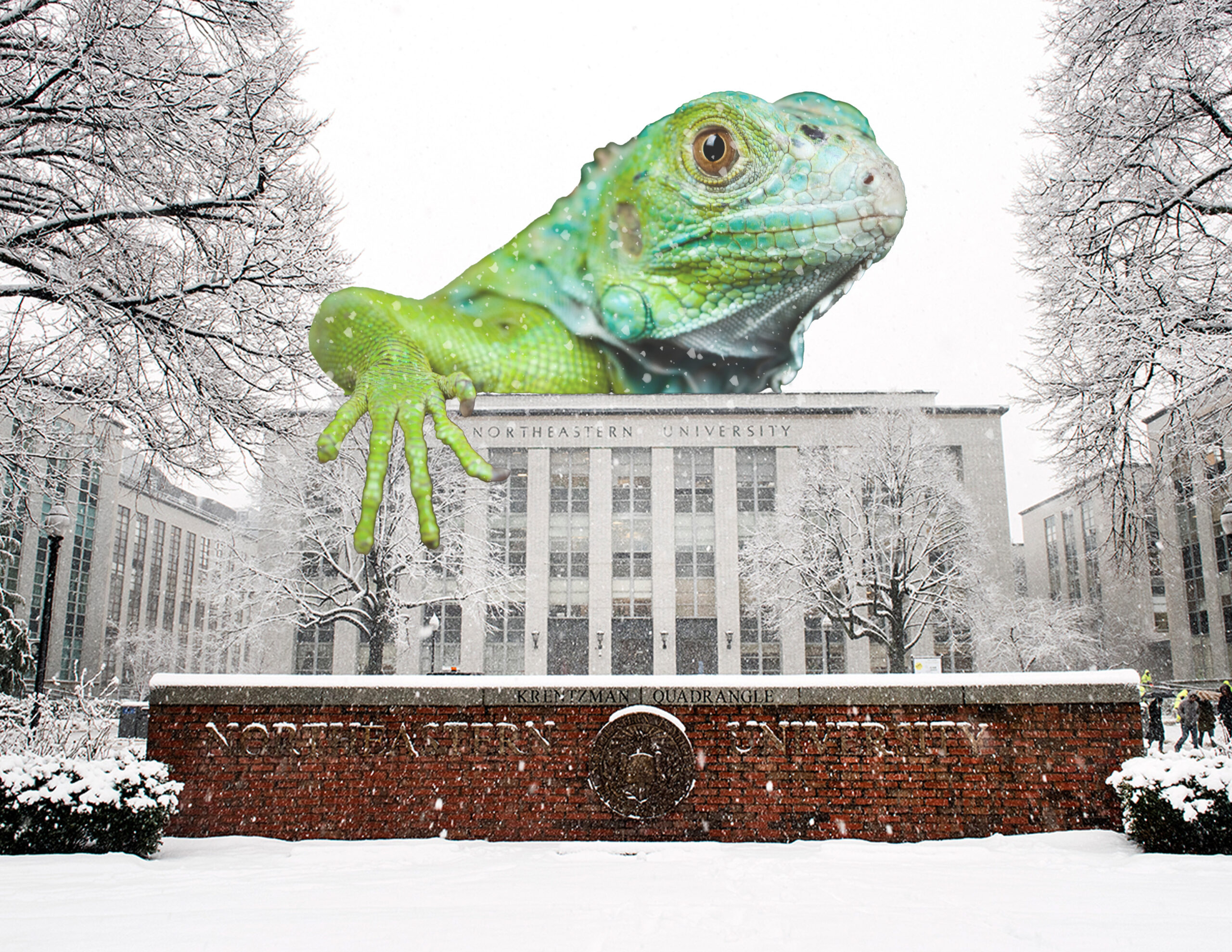 BREAKING: 5 Northeastern Students Injured After Assuming ‘Severe Lizard Warning’ Was A Typo